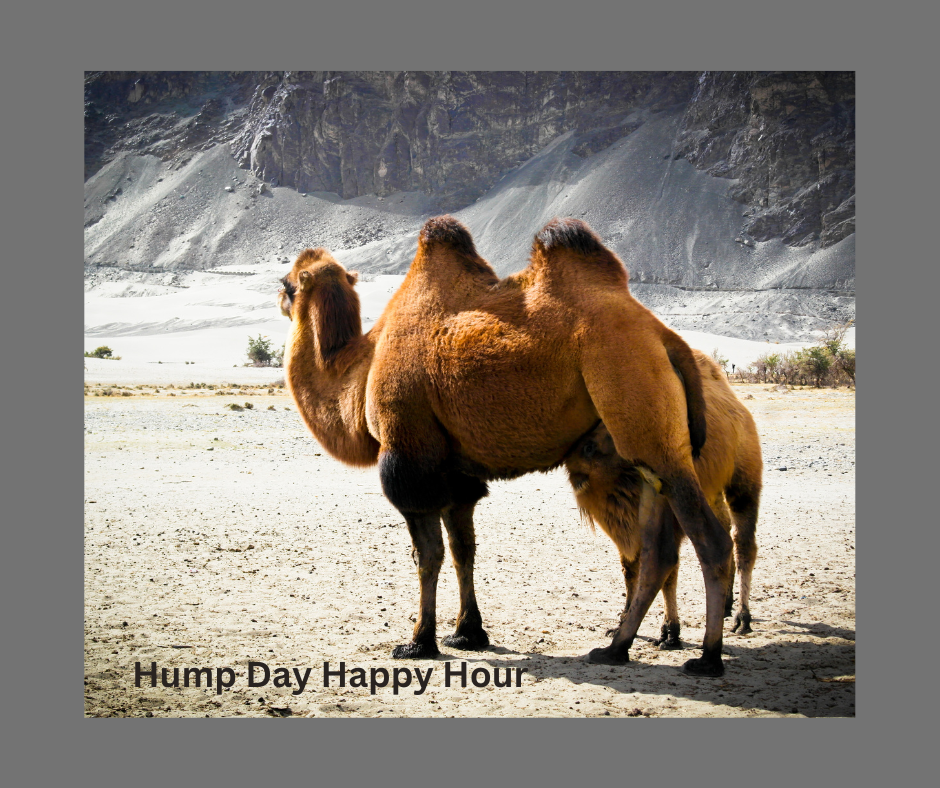 Hump Day Happy Hour